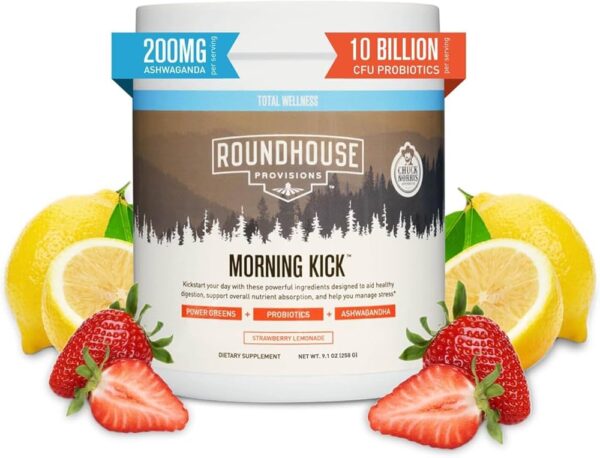 Roundhouse Provisions Morning Kick Digestive Powder (Strawberry Lemonade, 9.1 oz)